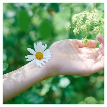 Гігієнічні прокладки ароматизовані NATURELLA Camomile Нормал Single 10 шт Гігієнічні прокладки ароматизовані NATURELLA Camomile Нормал Single 10 шт | Фото 6