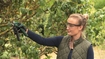 Секатор аккумуляторний BOSCH EasyPrune 12В (0.600.8B2.102) | Фото 16