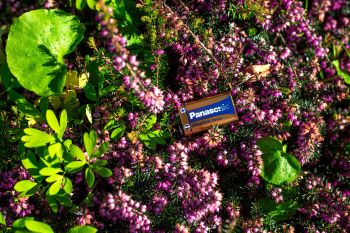 PANASONIC POWER 6LR61 BLI 1 ALKALINE (6LR61REB/1BP) PANASONIC POWER 6LR61 BLI 1 ALKALINE (6LR61REB/1BP) | Фото 3