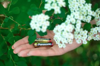 PANASONIC PRO POWER AAA BLI 2 ALKALINE (LR03XEG/2BPR) | Фото 3