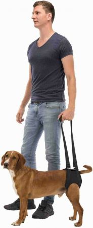 Trixie L 65–75 см Чорна (4053032407466) | Фото 5