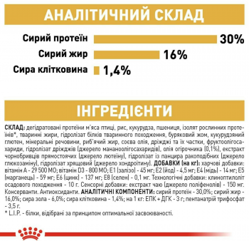 Сухий корм для собак породи Джек-Рассел-тер'єр Royal Canin Jack Russel Adult 1.5кг Сухий корм для собак породи Джек-Рассел-тер'єр Royal Canin Jack Russel Adult 1.5кг | Фото 2