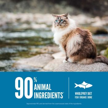 Сухий корм для котів та кошенят всіх порід Orijen Six Fish Cat 5.4 кг (o28154) | Фото 4