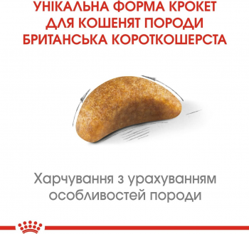 Сухий корм для кошенят породи Британська короткошерста Royal Canin Kitten British Shorthair 400г (3182550816526) Сухий корм для кошенят породи Британська короткошерста Royal Canin Kitten British Shorthair 400г (3182550816526) | Фото 2