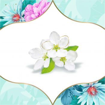 Прокладки щоденні DISCREET Deo Spring Breeze 60 шт (8700216153096) | Фото 6