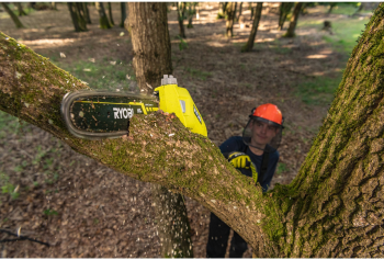 Висоторіз ланцюговий акумуляторний RYOBI RY36PP25A-0, 36В MAX POWER, без АКБ та ЗП (5133005786) Купить ручной садовый инструмент Висоторіз ланцюговий акумуляторний RYOBI RY36PP25A-0, 36В MAX POWER, без АКБ та ЗП (5133005786) | Фото 9