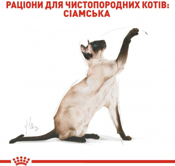 Сухий корм для котів породи Сіамська Royal Canin Siamese Adult 400г Сухий корм для котів породи Сіамська Royal Canin Siamese Adult 400г | Фото 7