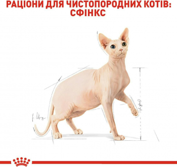Сухий корм для котів породи Сфінкс Royal Canin Sphynx Adult 2кг (3182550758840) | Фото 3