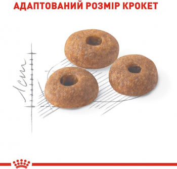 Сухий корм для домашніх та вуличних котів Royal Canin Fit 400г (3182550702157) | Фото 3