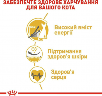 Сухий корм для котів породи Сфінкс Royal Canin Sphynx Adult 2кг (3182550758840) | Фото 4