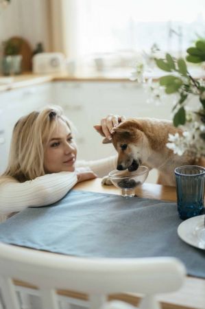 Savory для покращення травлення собак, ягня та ромашка 200 г (4820232631348) Savory для покращення травлення собак, ягня та ромашка 200 г (4820232631348) | Фото 4