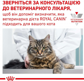 Сухий корм для котів Royal Canin Hypoallergenic 2.5кг | Фото 2