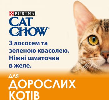 Cat Chow ADULT. З лососем та зеленою квасолею в желе, 85 г (7613036595063) Cat Chow ADULT. З лососем та зеленою квасолею в желе, 85 г (7613036595063) | Фото 7