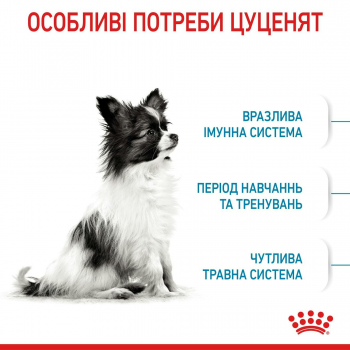 Сухий корм для цуценят Royal Canin X-Small Puppy мініатюрних порід собак 1.5кг Сухий корм для цуценят Royal Canin X-Small Puppy мініатюрних порід собак 1.5кг | Фото 8