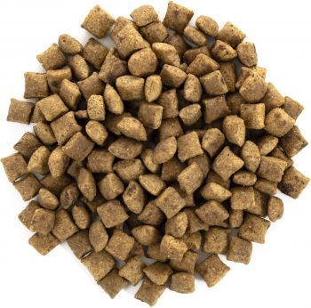 Сухий корм для стерилізованих котів Brit Care Cat GF Sterilized Weight Control з качкою та індичкою(8595602540785) Сухий корм для стерилізованих котів Brit Care Cat GF Sterilized Weight Control з качкою та індичкою(8595602540785) | Фото 7