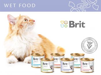 Консерва для котів Brit GF Veterinary Diet для лікування та профілактики сечокам'яної хвороби 200г (8595602549863) | Фото 3