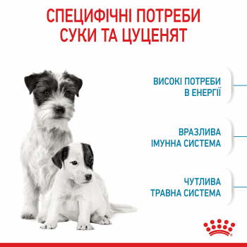 Сухий корм Royal Canin Mini Starter Mother & BabyDog дрібних порід  у період вагітності та лактації | Фото 7