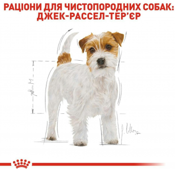 Сухий корм для собак породи Джек-Рассел-тер'єр Royal Canin Jack Russel Adult 1.5кг Сухий корм для собак породи Джек-Рассел-тер'єр Royal Canin Jack Russel Adult 1.5кг | Фото 5