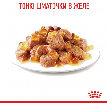 Вологий корм для котів Royal Canin Hair&Skin Care шматочки в желе 85г | Фото 10