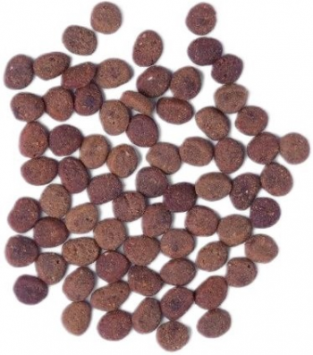 Сухий корм для котів Carnilove True Fresh Cat з рибою 340 г (8595602561414) | Фото 6