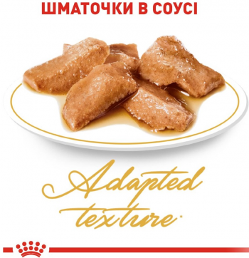 Вологий корм для котів породи Мейн-Кун Royal Canin Mainecoon Adult 85г | Фото 5