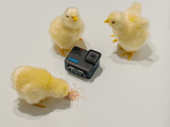 Екшн-камера GoPro HERO (CHDHF-131-EU) | Фото 7