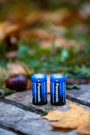 Батарейка PANASONIC GENERAL PURPOSE R20 TRAY 2 ZINK-CARBON (R20BER/2P) | Фото 2