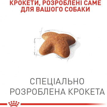 Сухий корм для собак породи Бігль Royal Canin Beagle Adult 3кг (3182550821766) Сухий корм для собак породи Бігль Royal Canin Beagle Adult 3кг (3182550821766) | Фото 5