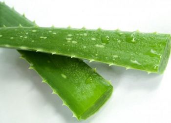 Шампунь Garnier Fructis Алое для нормального волосся 400мл | Фото 3