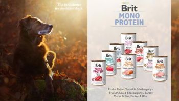 Вологий корм для собак Brit Mono Protein Dog з яловичиною (8595602555338) | Фото 7