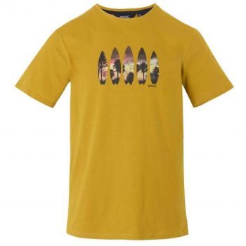 Футболка чоловіча Regatta ClineIX RMT296-6CH S жовта (5063516005421) | Фото 1