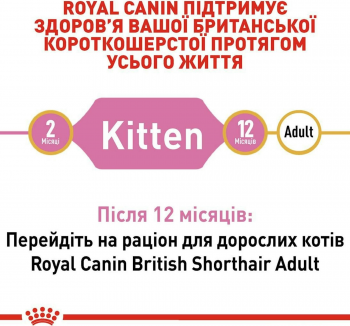 Сухий корм для кошенят породи Британська короткошерста Royal Canin Kitten British Shorthair 400г (3182550816526) Сухий корм для кошенят породи Британська короткошерста Royal Canin Kitten British Shorthair 400г (3182550816526) | Фото 3