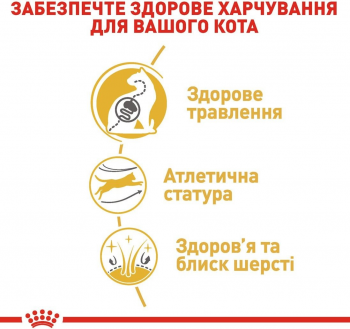 Сухий корм для котів породи Бенгал Royal Canin Bengal Adult 2кг (3182550864091) Сухий корм для котів породи Бенгал Royal Canin Bengal Adult 2кг (3182550864091) | Фото 7