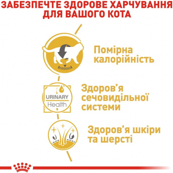 Вологий корм для котів породи Британська короткошерста Royal Canin British Shorthair Adult 85г | Фото 3