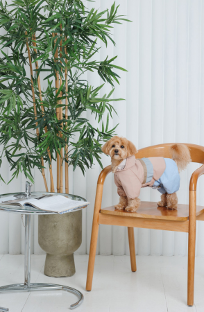 Дощовик для собак Pet Fashion Tina розмір М бежевий (4823082435173) | Фото 2