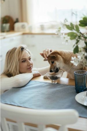 Savory для зміцнення імунітету собак, качка та шипшина 200 г (4820232631331) Savory для зміцнення імунітету собак, качка та шипшина 200 г (4820232631331) | Фото 4