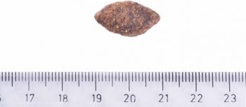 Корм для собак із чутливим травленням Brit Care Dog Grain-free Sensitive беззерновий з олениною 1кг (8595602559152) Корм для собак із чутливим травленням Brit Care Dog Grain-free Sensitive беззерновий з олениною 1кг (8595602559152) | Фото 2