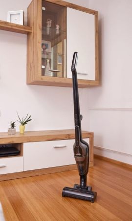 Акумуляторний пилосос GORENJE SVC216110FSIIBKA | Фото 13