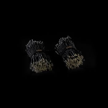 Twinkly Strings RGB 250, BT+WiFi, Gen II, IP44 кабель черный (TWS250STP-BEU) | Фото 4