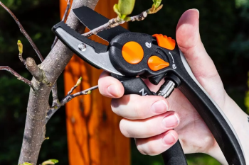 Купить секатор и сучкорез Секатор контактний Neo Tools, d леза 18мм, 200мм, 240г (15-203) | Фото 11