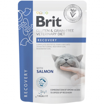Корм вологий для котів Brit GF VetDiet Recovery з лососем, 85 г (8595602566693) Корм вологий для котів Brit GF VetDiet Recovery з лососем, 85 г (8595602566693) | Фото 1