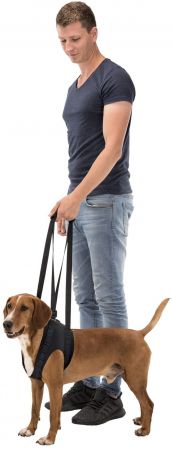 Trixie L 65–75 см Чорна (4053032407466) | Фото 7