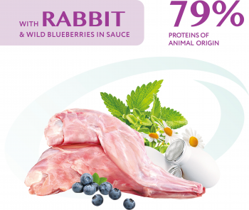 Вологий корм Optimeal для дорослих собак з кроликом та чорницею в соусі 100г (b2910602) | Фото 2