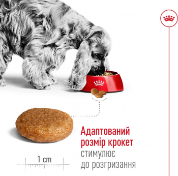 Сухий корм для собак Royal Canin Medium Adult середніх порід 4кг | Фото 5