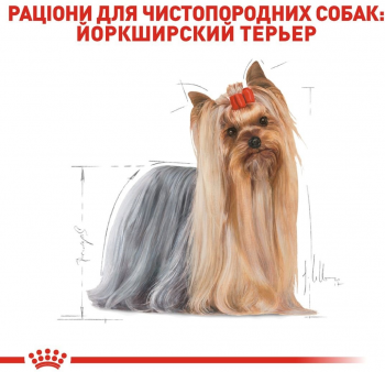 Сухий корм для собак породи Йоркширський-тер'єр Royal Canin Yorkshire Adult 1.5кг Сухий корм для собак породи Йоркширський-тер'єр Royal Canin Yorkshire Adult 1.5кг | Фото 8
