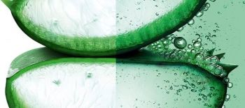 Garnier Skin Naturals для нормальної та чутливої шкіри обличчя з алое 150 мл (3600542398671) | Фото 3