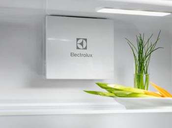 Холодильна камера ELECTROLUX ERD6DE18S4 Холодильна камера ELECTROLUX ERD6DE18S4 | Фото 12