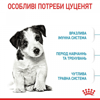 Сухий корм для цуценят Royal Canin Puppy Mini дрібних порід собак 800г Сухий корм для цуценят Royal Canin Puppy Mini дрібних порід собак 800г | Фото 3
