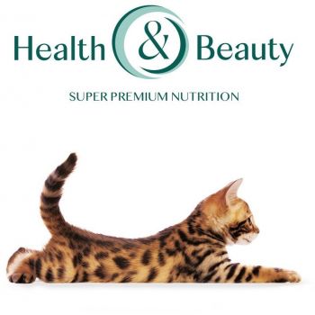 Вологий корм Optimeal для кошенят з куркою 4*85г | Фото 2