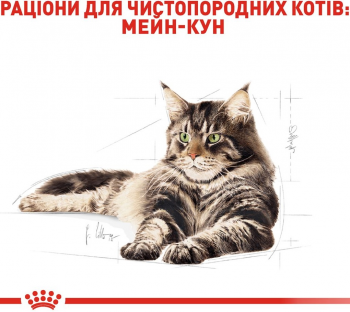 Вологий корм для котів породи Мейн-Кун Royal Canin Mainecoon Adult 85г | Фото 3